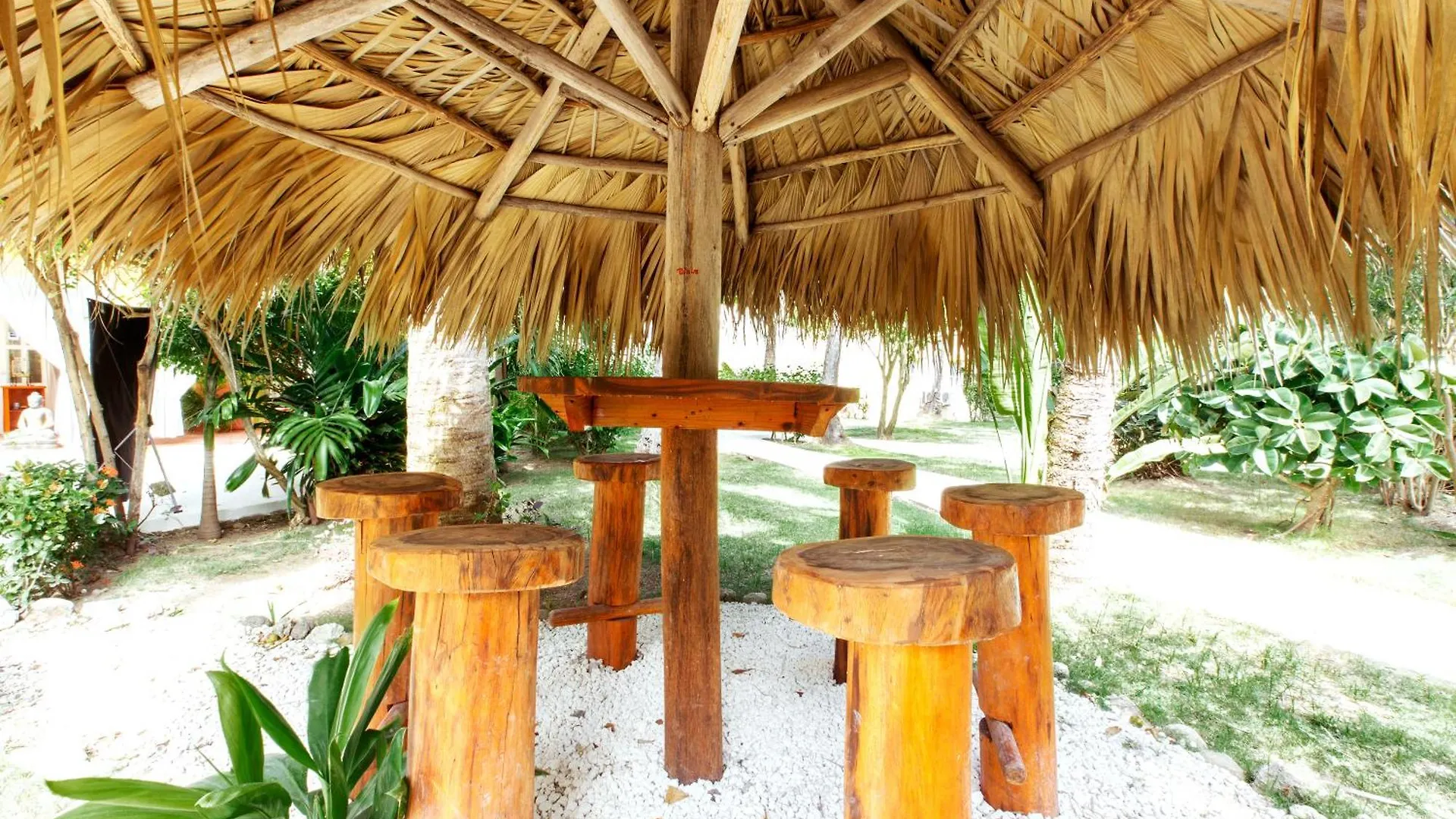 Ducassi Studios Playa Los Corales Punta Cana Hotel
